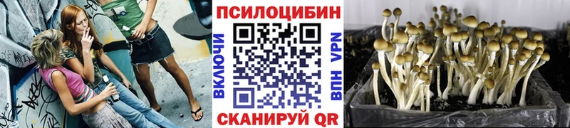 Псилоцибиновые грибы Magic Shrooms  Северодвинск 