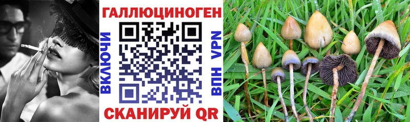 Псилоцибиновые грибы Psilocybe Северодвинск