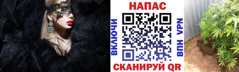 Бошки марихуана SATIVA & INDICA  kraken ССЫЛКА  Северодвинск 